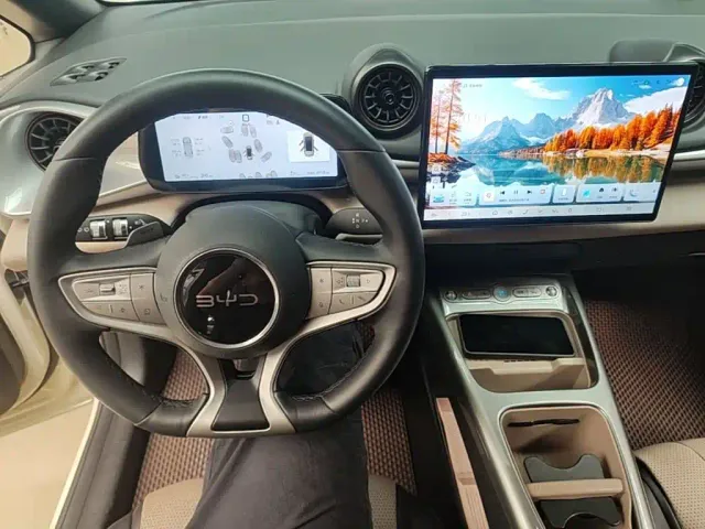 BYD Dolphin — Фото автомобиля 9