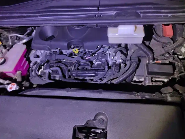 Toyota Alphard — Фото автомобиля 10