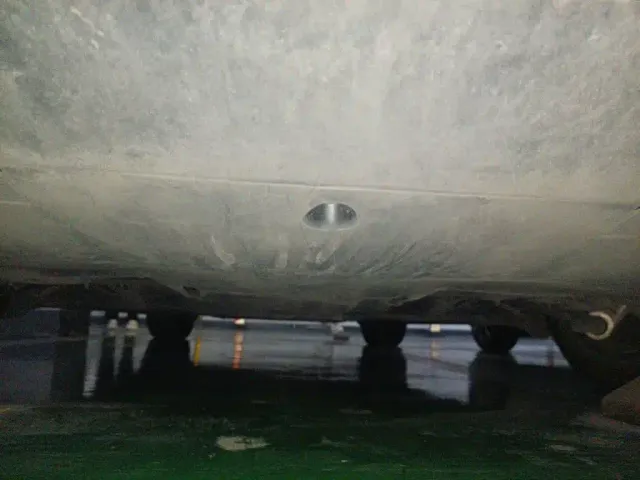 Tesla Model Y — Фото автомобиля 24