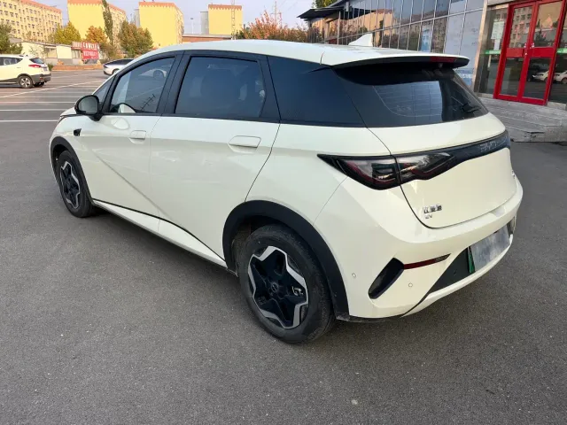 BYD Dolphin — Фото автомобиля 10