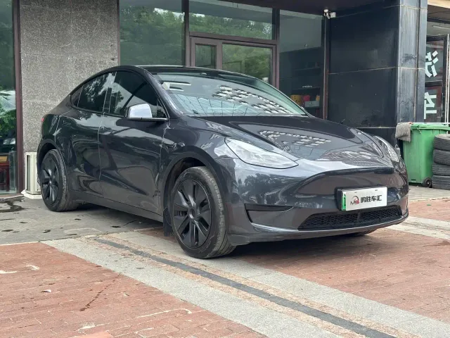Tesla Model Y — Фото автомобиля 2