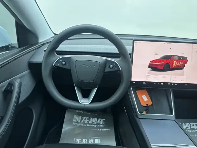 Tesla Model Y — Фото автомобиля 9