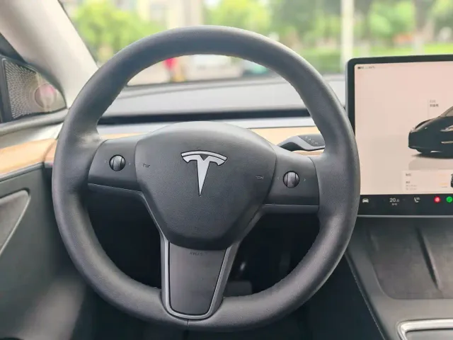 Tesla Model Y — Фото автомобиля 10