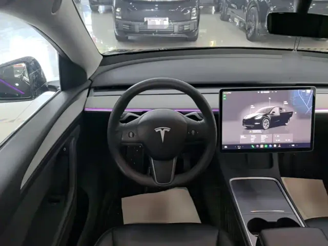 Tesla Model Y — Фото автомобиля 10