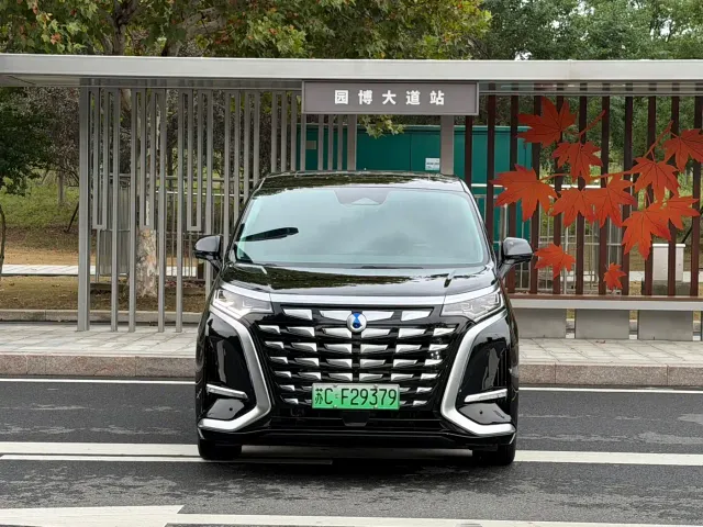 Denza D9 — Фото автомобиля 2