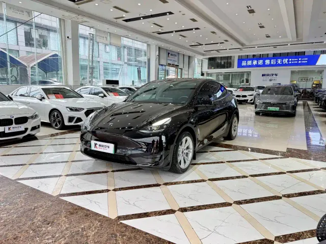 Tesla Model Y — Фото автомобиля 2