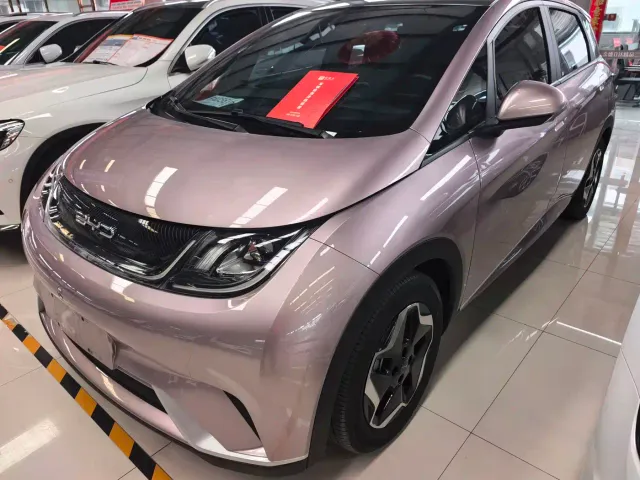 Фотография автомобиля — BYD Dolphin