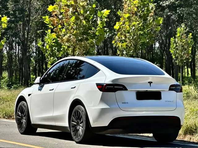 Tesla Model Y — Фото автомобиля 5