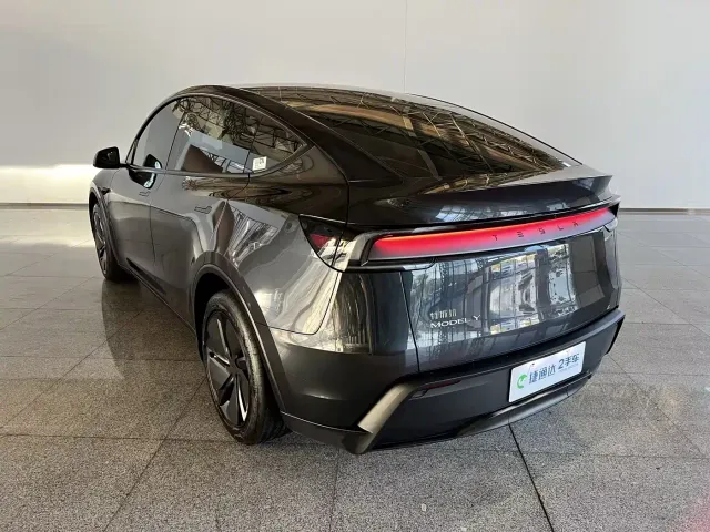 Tesla Model Y — Фото автомобиля 20