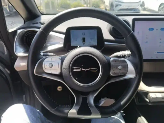 BYD Dolphin — Фото автомобиля 10