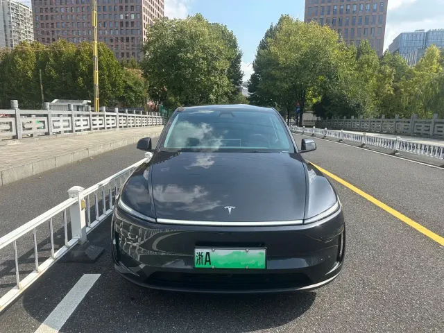 Tesla Model Y — Фото автомобиля 2