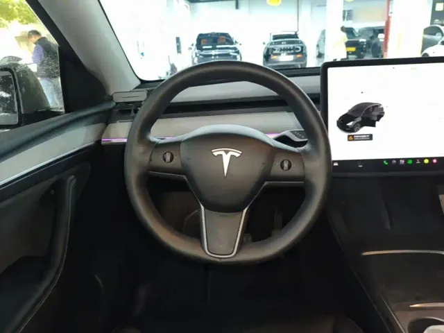 Tesla Model Y — Фото автомобиля 10