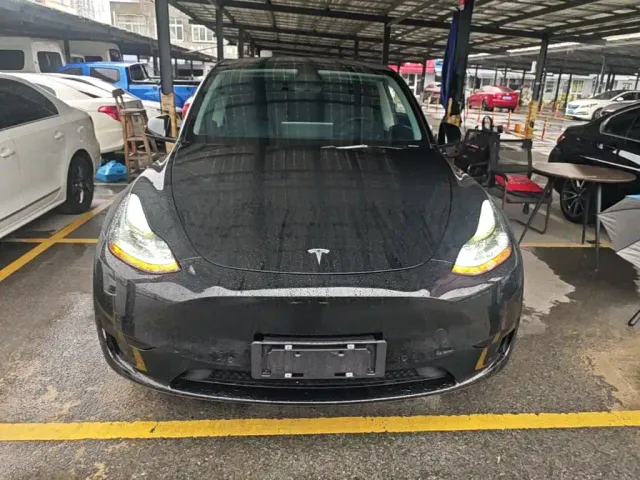Tesla Model Y — Фото автомобиля 2