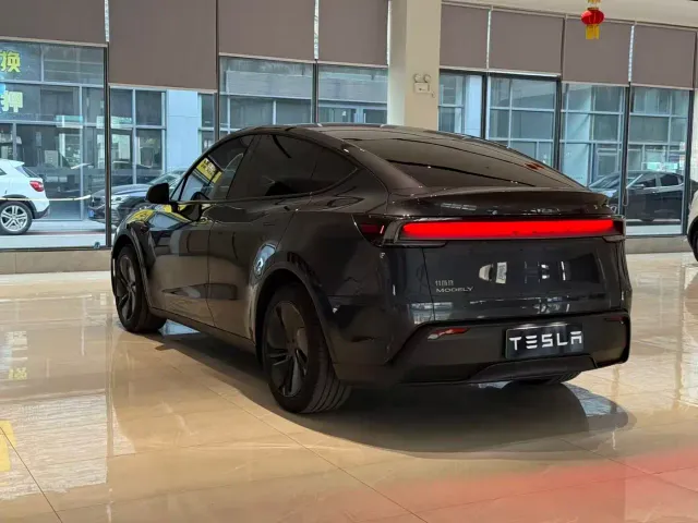 Tesla Model Y — Фото автомобиля 10