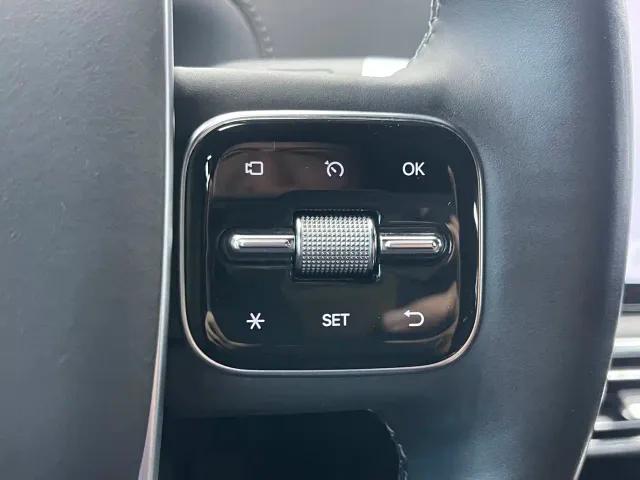 Li Auto L9 — Фото автомобиля 7