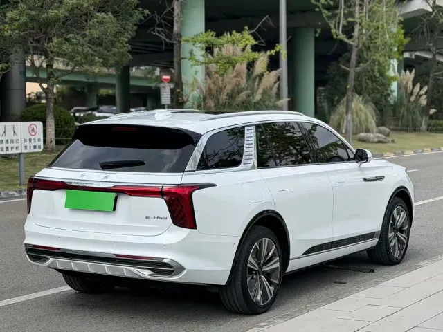 Hongqi Hongqi E-HS9 2021 460km Flagship Deluxe 7-seater — Фото автомобиля 11