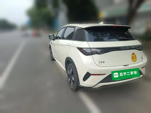 BYD Dolphin — Фото автомобиля 4
