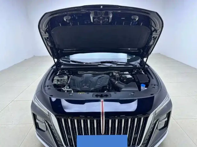Hongqi H5 — Фото автомобиля 9