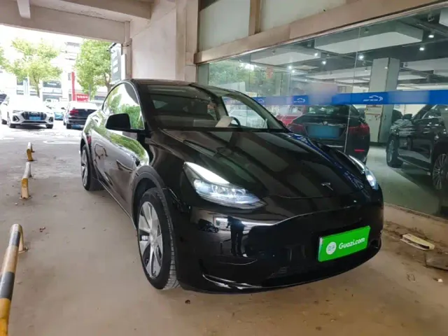 Tesla Model Y — Фото автомобиля 3