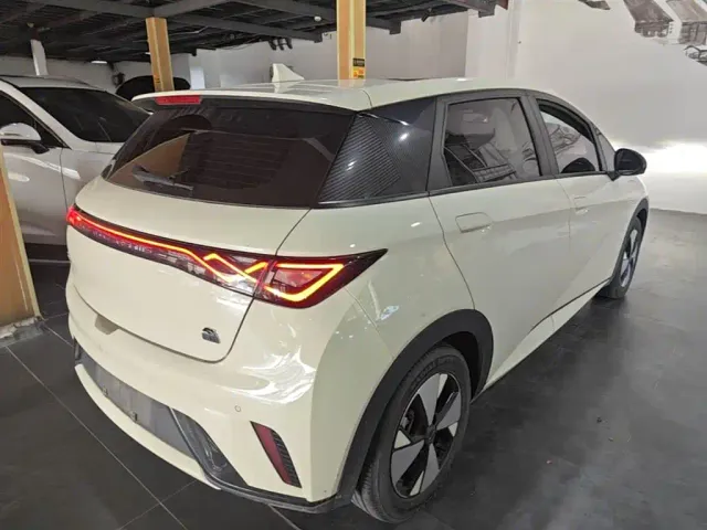 BYD Dolphin — Фото автомобиля 6