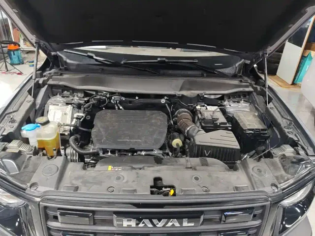 Haval Big Dog — Фото автомобиля 19
