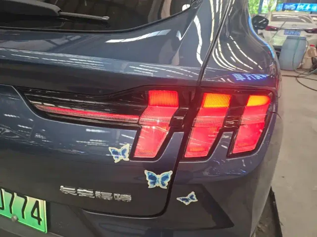 Ford Mustang Mach-E — Фото автомобиля 7