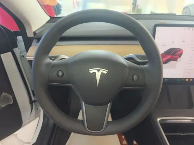 Tesla Model Y — Фото автомобиля 10