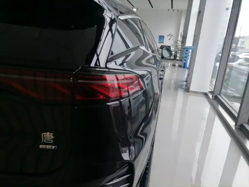 BYD Tang New Energy 2025 Smart Driving Edition DM-i 115KM Flagship — Фото автомобиля 23