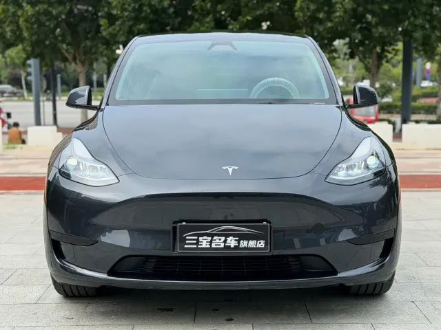 Tesla Model Y — Фото автомобиля 2