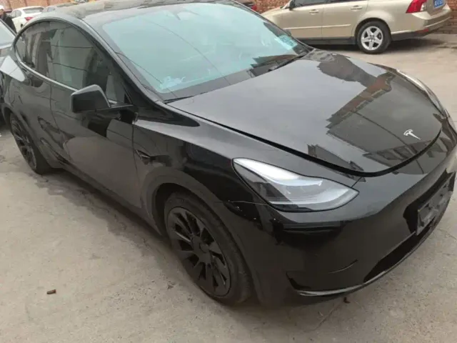 Tesla Model Y — Фото автомобиля 3