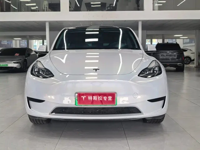 Tesla Model Y — Фото автомобиля 2