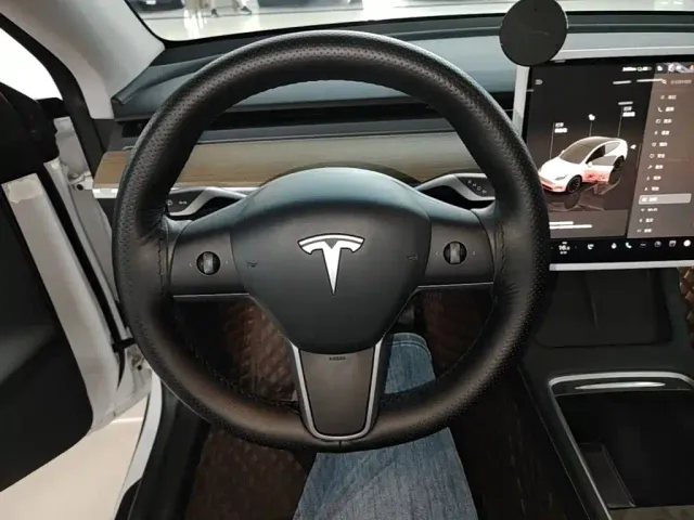 Tesla Model Y — Фото автомобиля 10