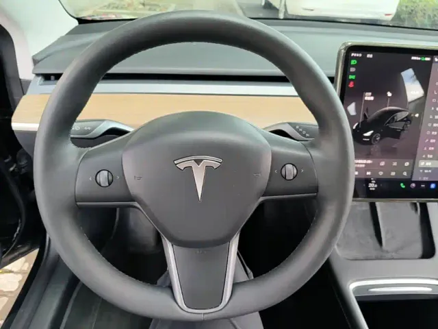 Tesla Model 3 — Фото автомобиля 10