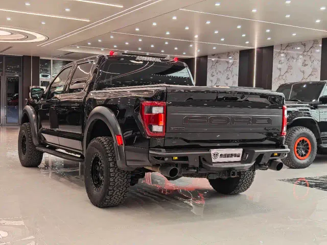 Ford F-150 Raptor — Фото автомобиля 9