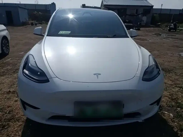 Tesla Model Y — Фото автомобиля 2