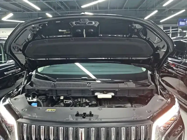 Hongqi HQ9 PHEV — Фото автомобиля 19
