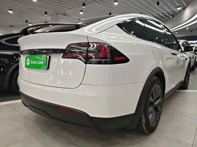 Tesla Model X — Фото автомобиля 6
