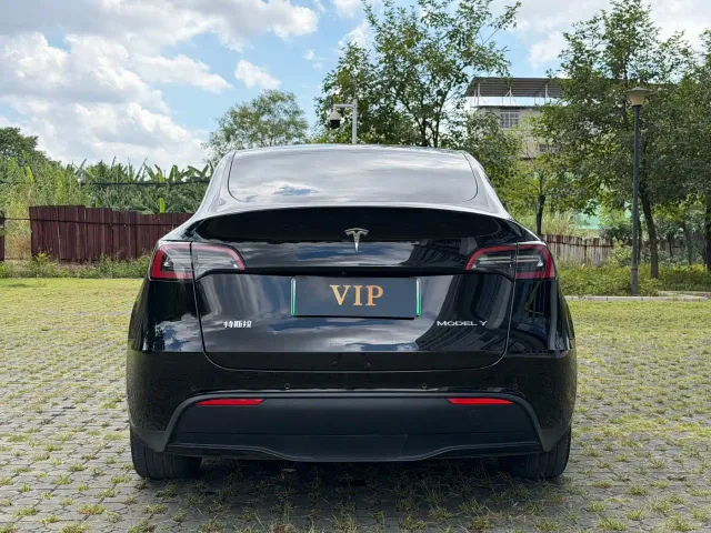 Tesla Model Y — Фото автомобиля 5