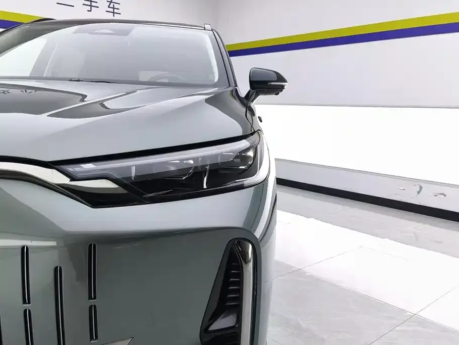 Chery Fengyun Fengyun T10 2024 210 Luxury Edition — Фото автомобиля 5