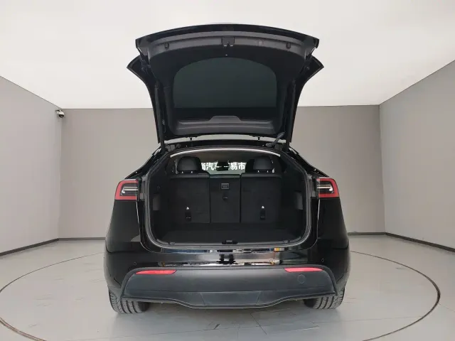 Tesla Model Y — Фото автомобиля 7
