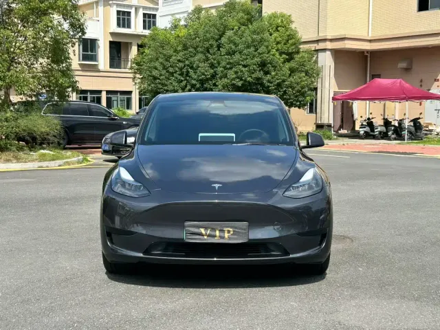 Tesla Model Y — Фото автомобиля 2
