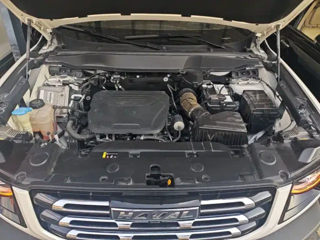 Haval Big Dog — Фото автомобиля 19