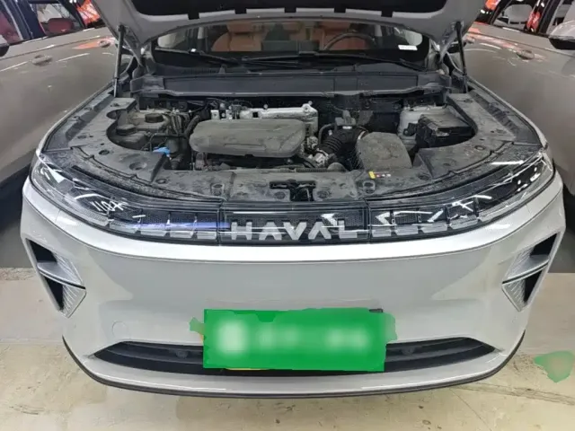 Haval Xiaolong MAX — Фото автомобиля 19