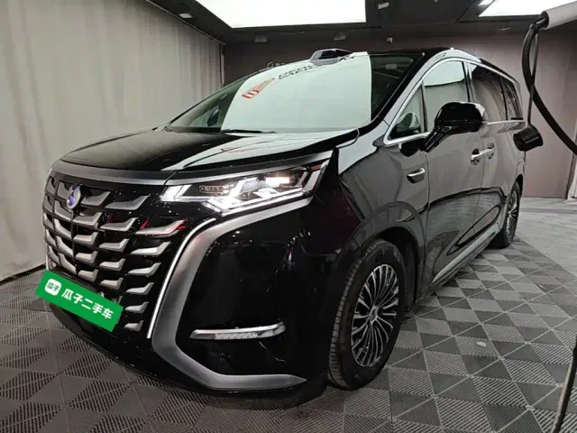Фотография автомобиля — Denza D9