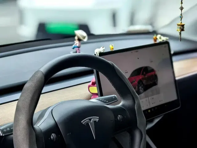 Tesla Model Y — Фото автомобиля 2