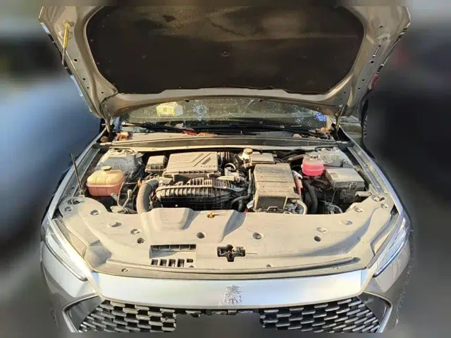 BYD Qin PLUS — Фото автомобиля 3