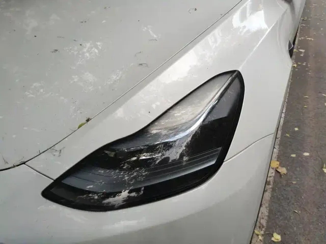 Tesla Model Y — Фото автомобиля 5