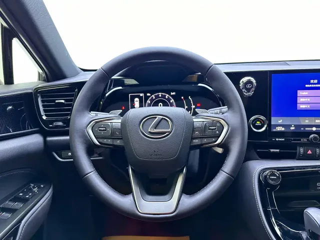 Lexus NX — Фото автомобиля 16