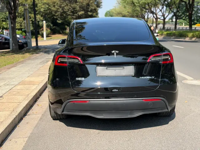 Tesla Model Y — Фото автомобиля 6
