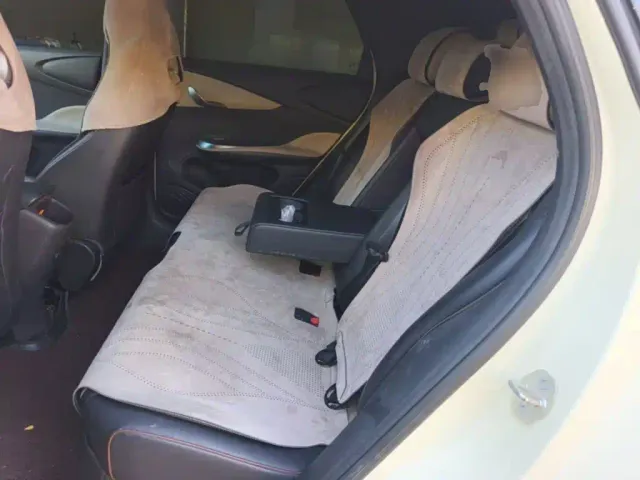 BYD Dolphin — Фото автомобиля 16